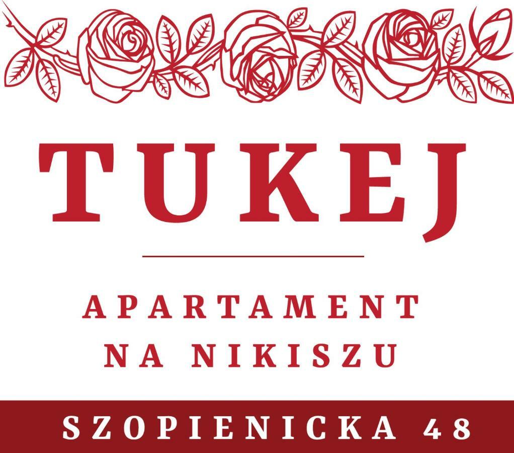 Tukej Apartament Na Nikiszu Катовіце Екстер'єр фото